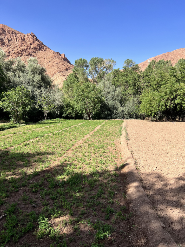 Valle del Dades